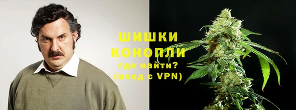 крисы Магадан