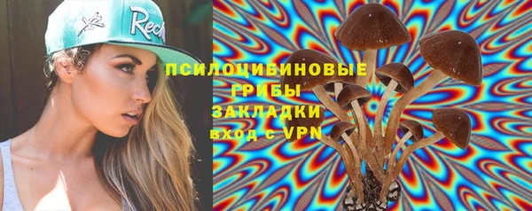 крисы Магадан