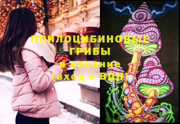 соль ск Магас