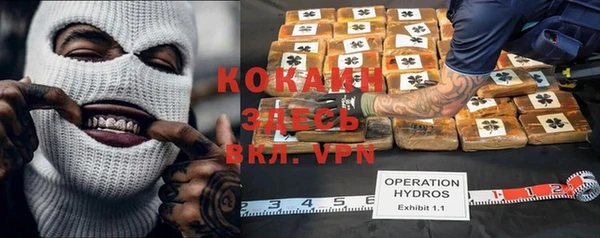 крисы Магадан