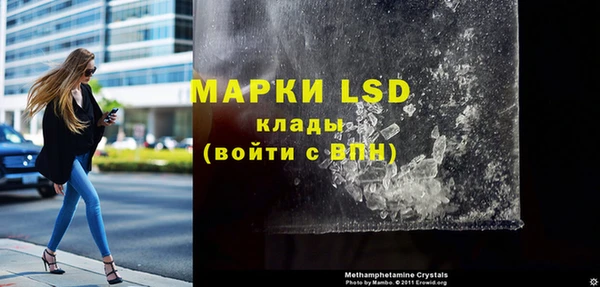 крисы Магадан