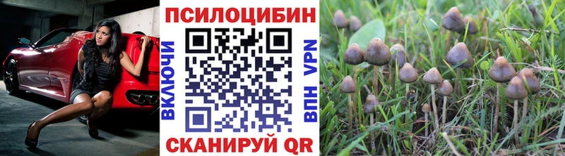 ссылка на мегу как зайти  Семилуки  Псилоцибиновые грибы GOLDEN TEACHER 